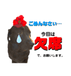 仲良しダルメシアン【茶色いおまけ付き】（個別スタンプ：32）