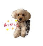 きなスペシャル（個別スタンプ：3）