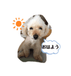 きなスペシャル（個別スタンプ：4）