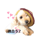 きなスペシャル（個別スタンプ：5）