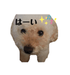 きなスペシャル（個別スタンプ：7）