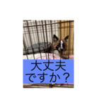 菫花1（個別スタンプ：2）