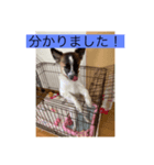 菫花1（個別スタンプ：4）