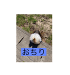 菫花1（個別スタンプ：6）