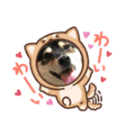 柴犬モコ＆稲穂（個別スタンプ：6）