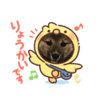 柴犬モコ＆稲穂（個別スタンプ：9）
