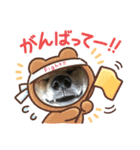 柴犬モコ＆稲穂（個別スタンプ：10）