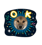 柴犬モコ＆稲穂（個別スタンプ：14）