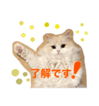 ましゅとちょこ（個別スタンプ：4）