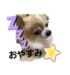 よんよんフレンドリー1（個別スタンプ：3）