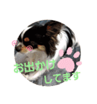 よんよんフレンドリー1（個別スタンプ：5）