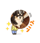 よんよんフレンドリー1（個別スタンプ：7）