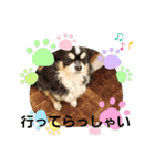 よんよんフレンドリー1（個別スタンプ：13）