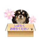 よんよんフレンドリー1（個別スタンプ：14）