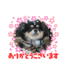 よんよんフレンドリー1（個別スタンプ：15）