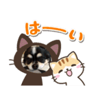 よんよんフレンドリー1（個別スタンプ：17）