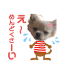 麦むぎまろりん（個別スタンプ：9）