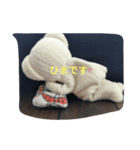 よくつかえるスタンプt（個別スタンプ：7）