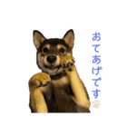 黒柴犬パピーのルークくん 2（個別スタンプ：24）