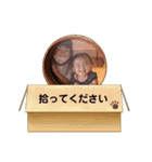 姉妹の毎日（個別スタンプ：16）