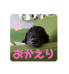 くぅのあいさつスタンプ（個別スタンプ：5）