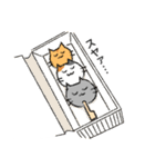 ねこだンゴ（個別スタンプ：36）