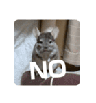 獅子丸のあいさつ言葉（個別スタンプ：7）