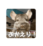 獅子丸のあいさつ言葉（個別スタンプ：8）