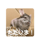 獅子丸のあいさつ言葉（個別スタンプ：9）