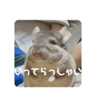 獅子丸のあいさつ言葉（個別スタンプ：15）