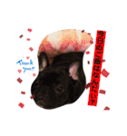 おうすけ八幡宮（個別スタンプ：14）
