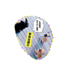 おうすけ八幡宮（個別スタンプ：20）