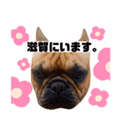 おうすけ八幡宮（個別スタンプ：31）