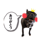 おうすけ八幡宮（個別スタンプ：40）