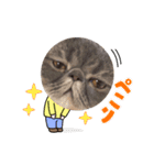 ∽Love tororo∽（個別スタンプ：6）