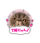 ∽Love tororo∽（個別スタンプ：7）