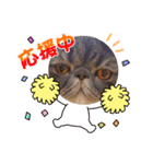 ∽Love tororo∽（個別スタンプ：8）