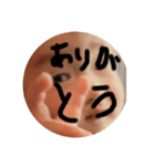ずだうん（個別スタンプ：4）