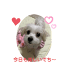 ❤️ちーたんの日々❤️（個別スタンプ：1）