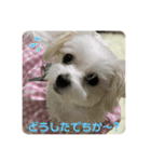 ❤️ちーたんの日々❤️（個別スタンプ：2）