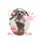 ❤️ちーたんの日々❤️（個別スタンプ：3）