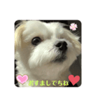 ❤️ちーたんの日々❤️（個別スタンプ：6）