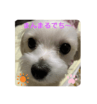 ❤️ちーたんの日々❤️（個別スタンプ：8）