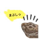 キャロちゃんと仲間達（個別スタンプ：10）