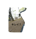 超絶景スタンプ（個別スタンプ：1）