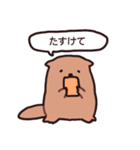 ビバえ（個別スタンプ：9）