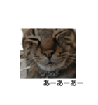 ずんだ語録（個別スタンプ：2）