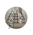 鈴木家の小次郎くん ②（個別スタンプ：3）