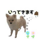 鈴木家の小次郎くん ②（個別スタンプ：14）