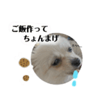 鈴木家の小次郎くん ②（個別スタンプ：27）